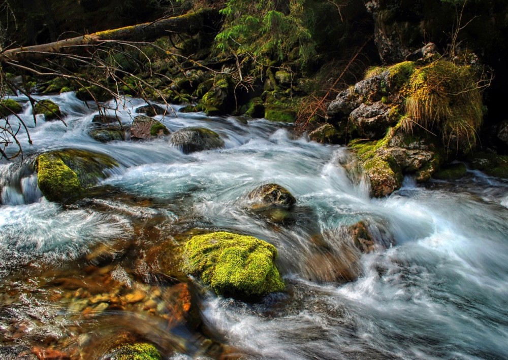 torrent_stream_tatry_mountains_water_the_stones_nature_brook-1028548.jpg!d.jpeg