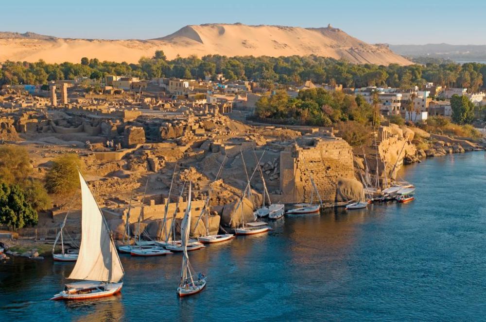 65EG0_00300_Elephantinexx_0001